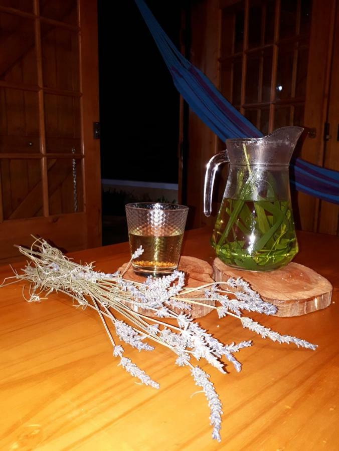 Casa Benedita Hébergement de vacances *